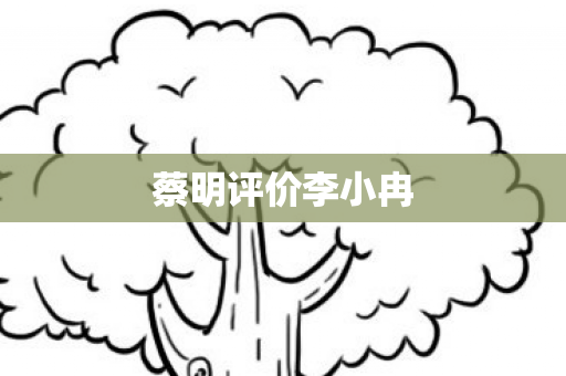 蔡明评价李小冉