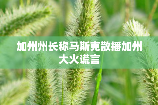 加州州长称马斯克散播加州大火谎言