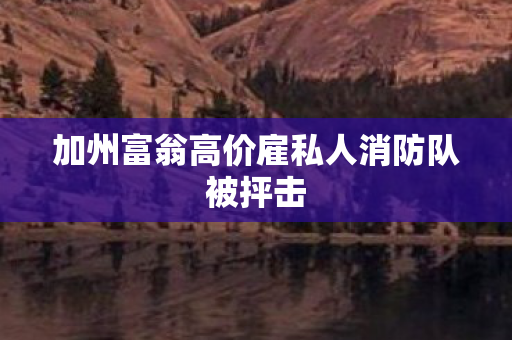 加州富翁高价雇私人消防队被抨击