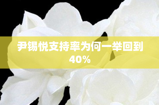 尹锡悦支持率为何一举回到40%