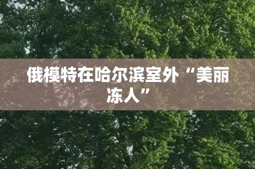 俄模特在哈尔滨室外“美丽冻人”