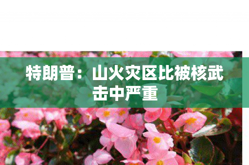 特朗普：山火灾区比被核武击中严重