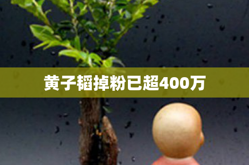 黄子韬掉粉已超400万