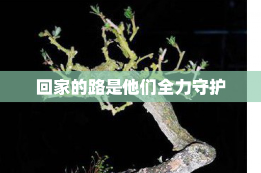 回家的路是他们全力守护