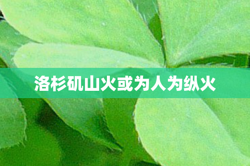 洛杉矶山火或为人为纵火