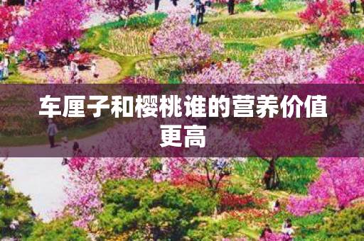 车厘子和樱桃谁的营养价值更高