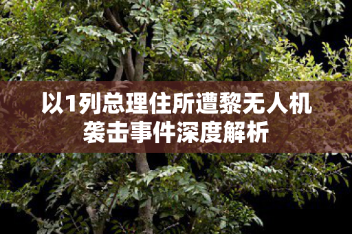 以1列总理住所遭黎无人机袭击事件深度解析