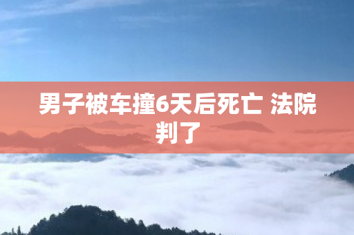 男子被车撞6天后死亡 法院判了