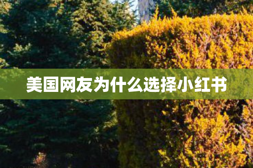 美国网友为什么选择小红书