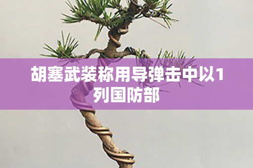 胡塞武装称用导弹击中以1列国防部