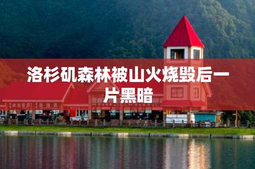 洛杉矶森林被山火烧毁后一片黑暗
