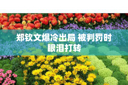 郑钦文爆冷出局 被判罚时眼泪打转