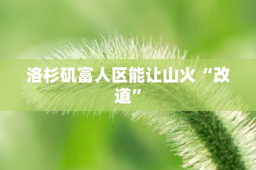 洛杉矶富人区能让山火“改道”