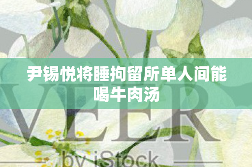 尹锡悦将睡拘留所单人间能喝牛肉汤