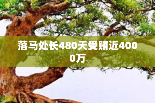 落马处长480天受贿近4000万