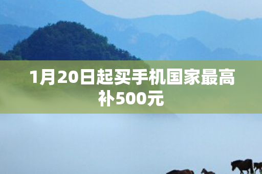 1月20日起买手机国家最高补500元