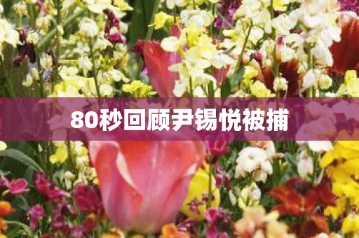 80秒回顾尹锡悦被捕