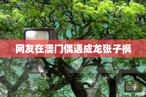 网友在澳门偶遇成龙张子枫