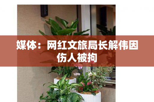 媒体：网红文旅局长解伟因伤人被拘