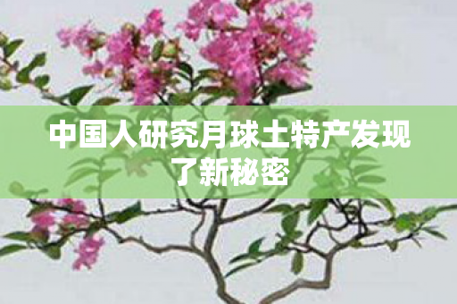 中国人研究月球土特产发现了新秘密