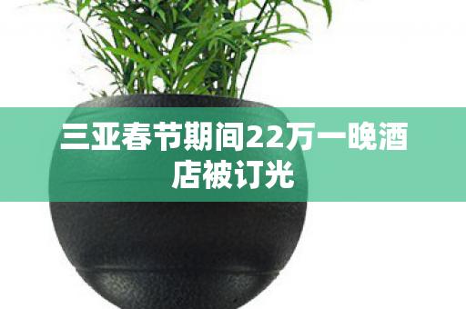 三亚春节期间22万一晚酒店被订光