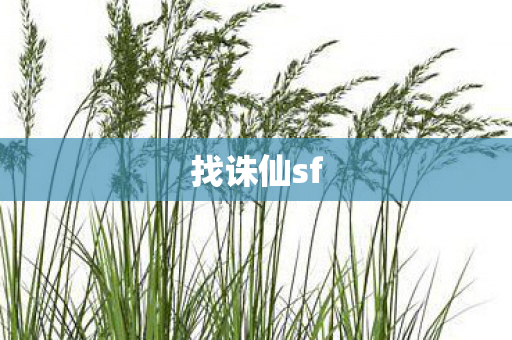 找诛仙sf
