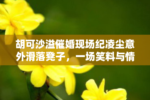 胡可沙溢催婚现场纪凌尘意外滑落凳子，一场笑料与情感交织的催婚大戏
