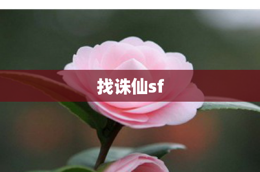 找诛仙sf