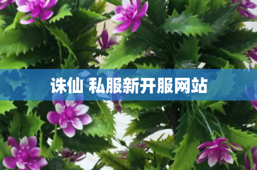 诛仙 私服新开服网站