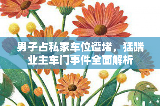 男子占私家车位遭堵，猛踹业主车门事件全面解析