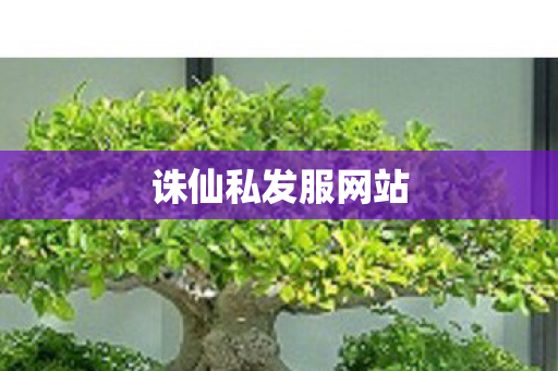 诛仙私发服网站