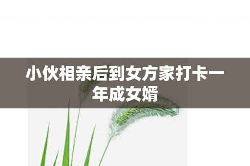 小伙相亲后到女方家打卡一年成女婿