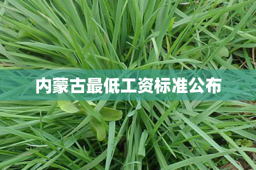 内蒙古最低工资标准公布
