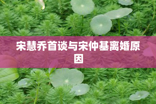 宋慧乔首谈与宋仲基离婚原因