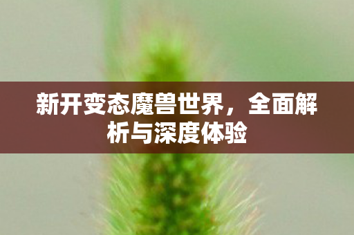 新开变态魔兽世界，全面解析与深度体验
