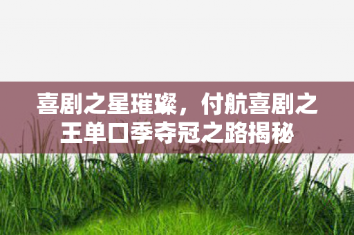 喜剧之星璀璨，付航喜剧之王单口季夺冠之路揭秘