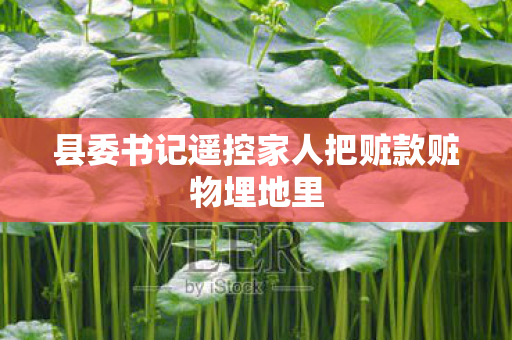 县委书记遥控家人把赃款赃物埋地里