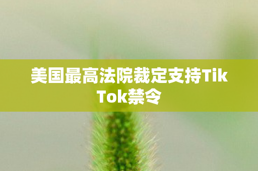 美国最高法院裁定支持TikTok禁令
