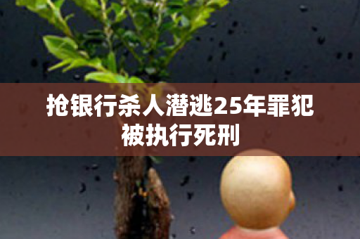 抢银行杀人潜逃25年罪犯被执行死刑
