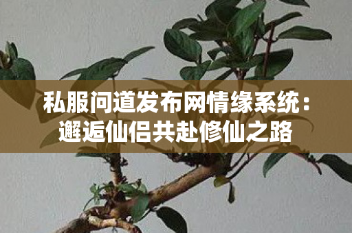 私服问道发布网情缘系统：邂逅仙侣共赴修仙之路