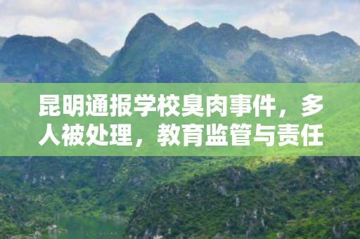 昆明通报学校臭肉事件，多人被处理，教育监管与责任追究的深刻反思