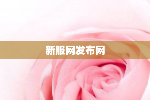 新服网发布网