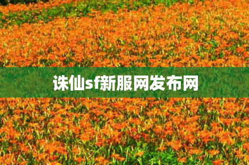 诛仙sf新服网发布网