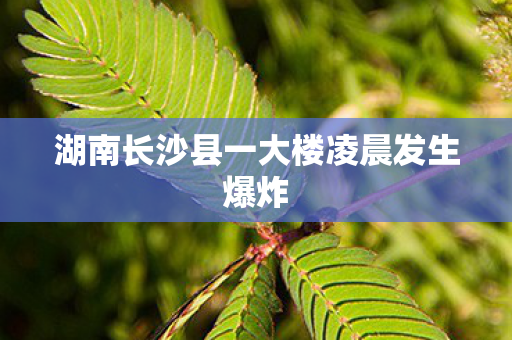 湖南长沙县一大楼凌晨发生爆炸