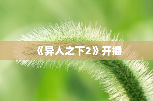 《异人之下2》开播
