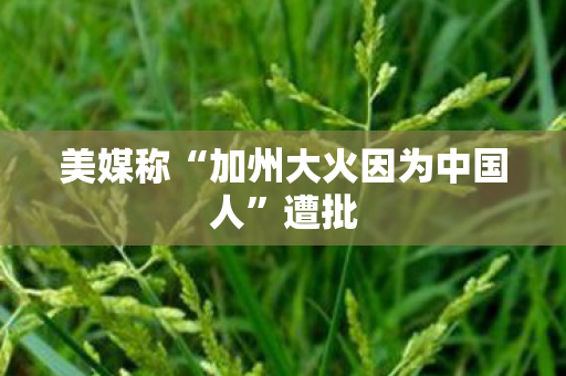 美媒称“加州大火因为中国人”遭批