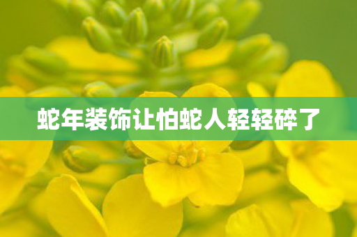 蛇年装饰让怕蛇人轻轻碎了