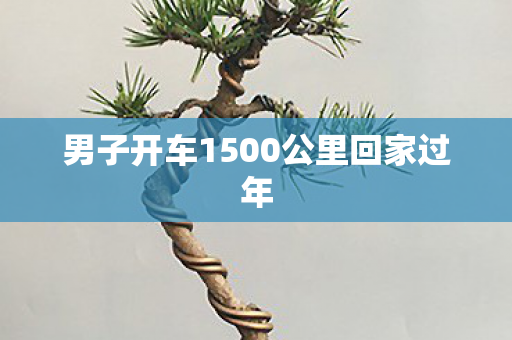 男子开车1500公里回家过年