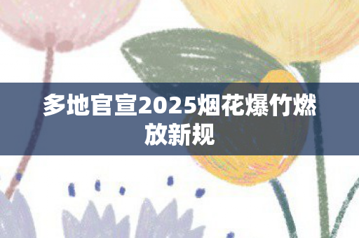 多地官宣2025烟花爆竹燃放新规