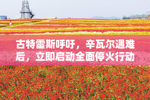 古特雷斯呼吁，辛瓦尔遇难后，立即启动全面停火行动